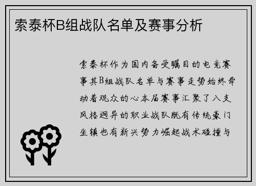 索泰杯B组战队名单及赛事分析