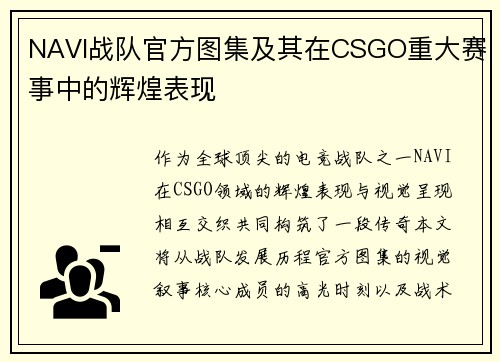 NAVI战队官方图集及其在CSGO重大赛事中的辉煌表现